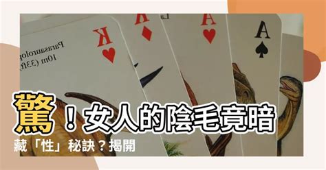 女人的陰毛|陰毛